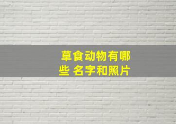 草食动物有哪些 名字和照片